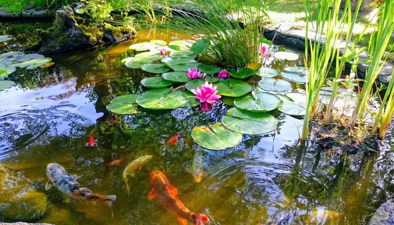Gite Pause Au Jardin Piscine Chauffee Saint-Branchs Kültér fotó