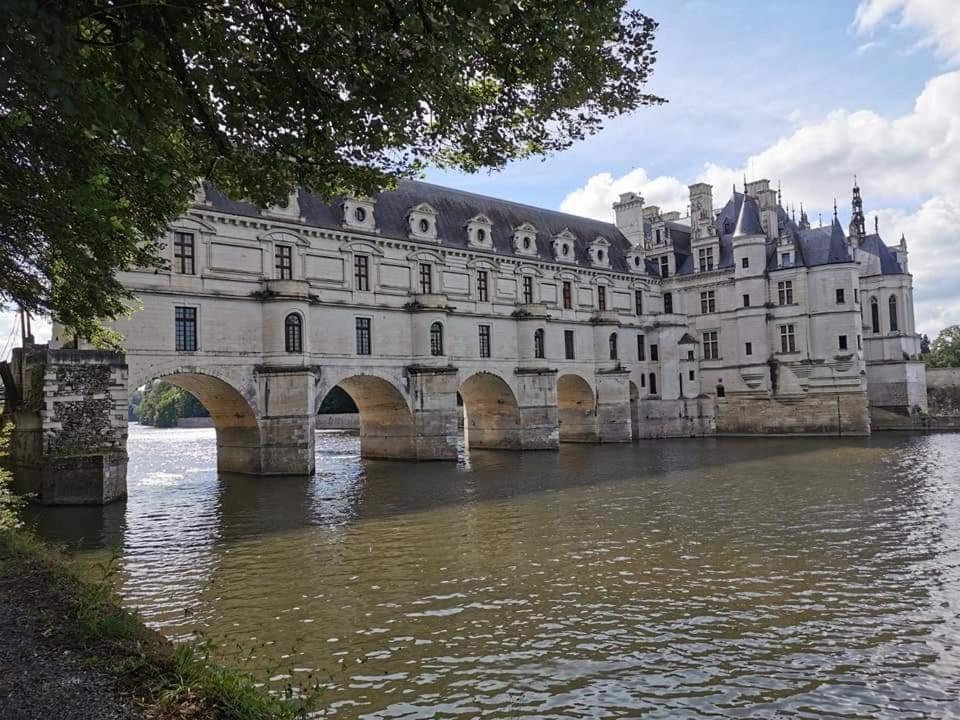 Gite Pause Au Jardin Piscine Chauffee Saint-Branchs Kültér fotó